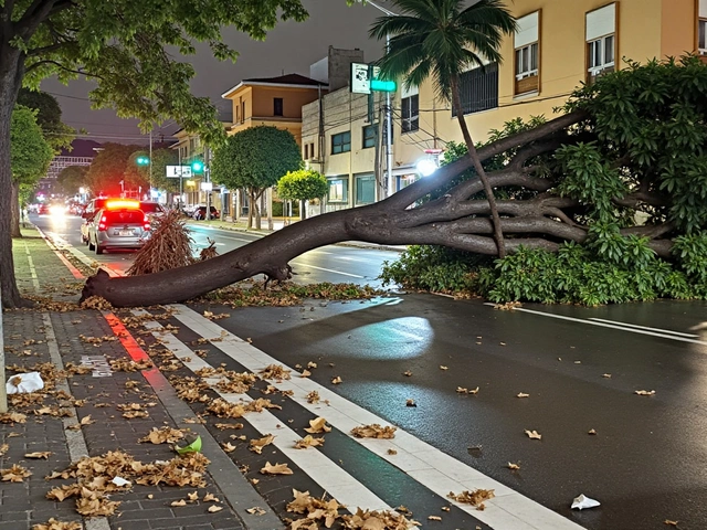 Tempestade Violenta em São Paulo Provoca Tragédias e Interrupções